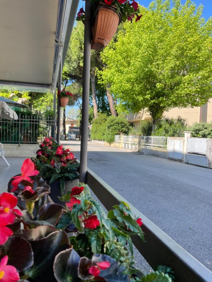 Hotel Vera チェゼナーティコ エクステリア 写真
